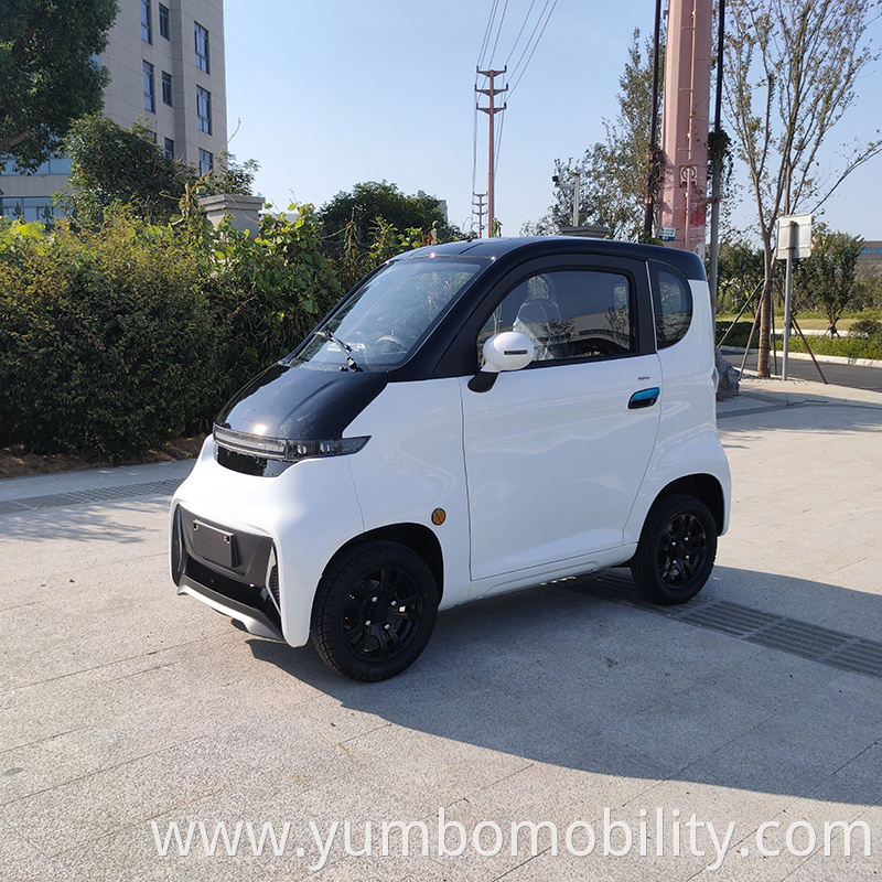 Small Electric Car